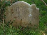 image of grave number 19445